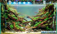 Aquarium bentuk saung / 20 model kolam ikan minimalis ini jadikan rumah lebih asri. Emhasan Muhammadhasan173 Profil Pinterest