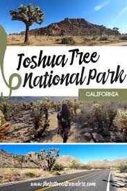 The Best Things To Do In Joshua Tree National Park National Parks Trip National Parks California National Parks