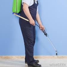 Start by looking for trails. What Is The Best Fire Ant Killer With Pictures