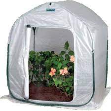 The best offer on the greenhouse construction market. Flower House Fhph155cl Planthouse 5 Pop Up Clear Buy Online In Bahamas At Bahamas Desertcart Com Productid 1790514
