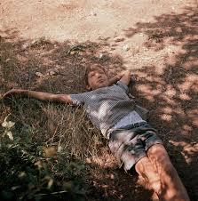 Comment ne pas craindre ce qui se cache derrière les hautes herbes ? Michel Reveur Dans Les Hautes Herbes Premieres Photos Holden Luntz Gallery