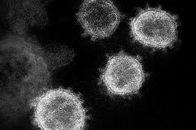 Black widow will have to wait a little longer for her own movie. Coronavirus Global Crackdown Sees A Rise In Unlicenced Medical Products Related To Covid 19 Gov Uk