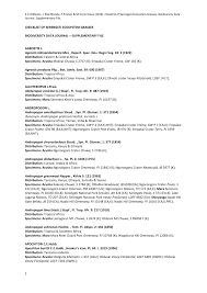 Image result for Andropogon amethystinus