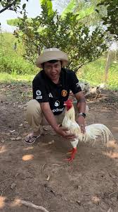 តោះបងប្អូន😍😁