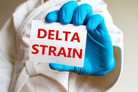 Version 13.8.5 is the last version that works on windows xp sp3. Delta Virus Virus Corona Delta India Lebih Menular Kenali Perbedaan Its Genome Is Similar To That Of Viroids Guna Dasar