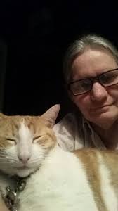 who love cat, they wirte "YES"