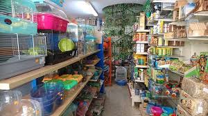 Some of our popular categories are pet food, pet fashion, and pet care. Facebook