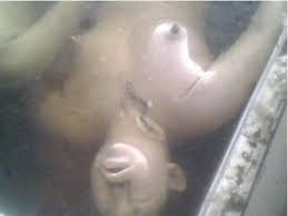 Must see videos to see who's who's!! Strange Fishes Drowning People Thread