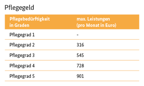 Um pflegesachleistungen zu erhalten, müssen folgende voraussetzungen erfüllt werden. Pflegegeld