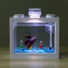 Maybe you would like to learn more about one of these? Ewrt Usb Mini Aquarium Fish Tank With Led Lamp Light Home Office Desktop Tea Table Decoration Accessories White Pet Supplies Fish Aquatic Pets Umoonproductions Com