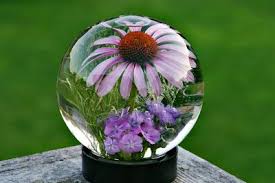 A naturally preserved rose has been sprayed in you or your recipient's favorite color, fashioned into a glass globe, filled with water, and sealed for your recipient to enjoy forever! Glass Flower Globes Inside A Glass Globe It Is Pretty Cool Especially Since The Globe Globe Diy Water Globes Glass Globe