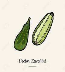 Add the zucchini, squash, italian seasoning and a generous pinch of salt. Zucchini Hand Drawn Illustration Set Hipster Illustration Of Squash Isolated Green Zucchini For Vegetarian Poster Cooking School Restaurant Menu Banner Logo Icon Food Shop Harvest Royalty Free Cliparts Vectors And Stock Illustration