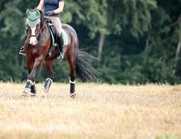 An equestrian helmet is a form of protective headgear worn when riding horses.this type of helmet is specially designed to protect the rider's head in the event of falls from a horse, especially from striking a hard object while falling or being accidentally struck in the head by a horse's hoof. Fit For Dressage The Case For Grace And Lightness Horse Journals