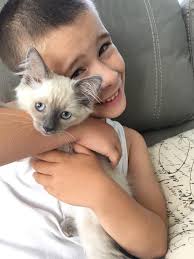 It is coming up to a week of Lilith being missing from B29. Please keep an  eye out and check sheds 🙏 she is so missed. She has a small tear in