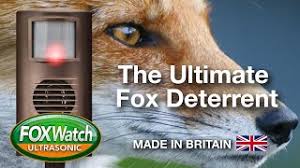 We did not find results for: How To Stop Foxes Pooing In Your Garden Fox Repellent Expert