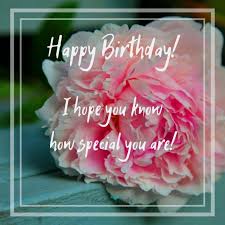 Birthday Wishes For Crush Birthday Messages For Crush In 2020 Cute Birthday Wishes Birthday Greetings For Myself Birthday Wishes