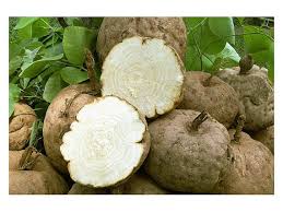 Image result for Pueraria