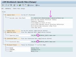 Wildcards can also help with getting databased on a specified pattern match. How To Use A Wildcard In Lsmw Sap Blogs