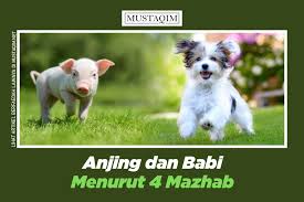 Apabila anda mengalami mimpi digigit anjing yang berbulu hitam, itu artinya anda sedang atau akan dilingkupi aura jahat. Anjing Dan Babi Menurut 4 Mazhab Mustaqim Net