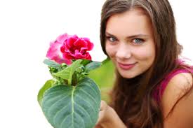 Flower Flora PNG, Vector, PSD, and Clipart With Transparent Background for  Free Download