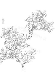 Excited To Share This Item From My Etsy Shop Sakura Blossoms Plum Flowers Botanical Garden Line Drawing C Line Art Flowers Flower Line Drawings Eyeball Art