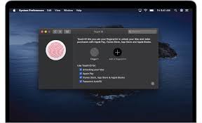 Sign in with your apple id password and you will gain access to your apple account inside itunes. Apple Is Bringing Face Id And Touch Id To The Web With Safari 14 Techcrunch