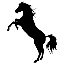 Cette réaction peut être causée par une excès d'énergie, une douleur physique, confusion, frustration ou insécurité. Les 5emes Ecrivains Et Alors Blog Archive L Enfant Et Le Cheval Roman Ecrit Par Camille 5d
