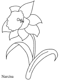 Desenele de colorat cu poze de primavara vor incanta orice copil prin multitudinea de culori si imagini dragute pe care le ofera. Pin On Activitati Pentru Copii Craft For Kids