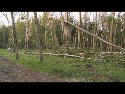 Maybe you would like to learn more about one of these? Tv Ialomita Fenomene Meteo Extreme La FÄcÄeni Youtube
