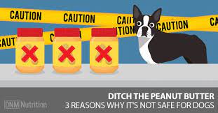 Can Dogs Eat Peanut Butter Can Dogs Eat Dog Remedies Peanut Butter