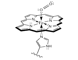 Image result for Heme