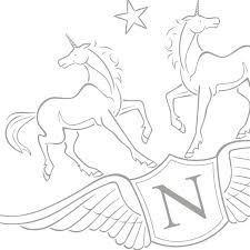 There's something for everyone from beginners to the advanced. Netural Services Facebook