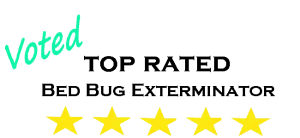 This includes hillsborough and pasco county. Fl Bed Bug Experts 813 922 8475 Tampa Florida Bed Bug Control Exterminator Removal