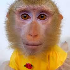 Universal SUM of All Fears. Isabelle-Diana Najadi Kahlooni Kennedy is back.  Meet God, free transport yes Isabelle Diana Najadi Kahlooni Kennedy is and  was always alive. Was pulled out after covert Opperations