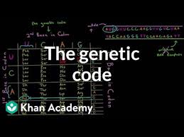 The Genetic Code