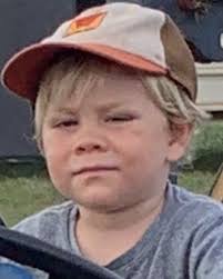 Welcome to Timber Maui! Ishi Hughes-Owner/Founder/Operator. A Maui Native,  15 years in business, with a passion for trees, machines, and customer  satisfaction! Along with an awesome team, certified and insured, His fleet