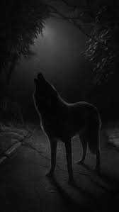 Pin By Orkun On Macera 2 Wolf Artwork Fantasy Wolf Wolf Pictures
