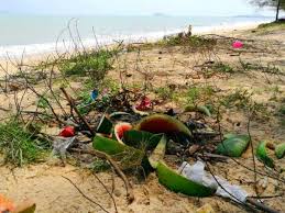 Gambar pemandangan yang dapat menyejukkan mata di indonesia lainnya adalah pemandangan desa. Pantai Bisikan Bayu Dipenuhi Sampah