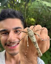SOME GOOD BUGS LATELY! 😍🦋🪲 Has anyone else found cool insects already  this year?? The diversity of inverts in the Amazon is just incredible! 🌳  Everyday is a new surprise! 🤩🐞🐝 . . . #