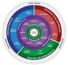 Hsenid Biz Hris Product Modules Employee Information Manager Organizational Structure Emp Human Resource Management System Management Reward And Recognition