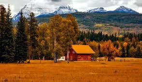 Some of the most fun and most interesting chemistry facts include: 80 Fun Facts About Colorado Beyond The Rockies