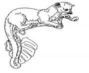 2) click on the image in the bottom half of the screen to make that frame active. Okinawa 1 Coloring Page By Jan Brett Coloring Pages Printable