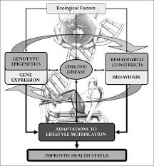 03.02.2017 · there is evidence that a sedentary lifestyle contributes to the metabolic syndrome. International Exercise Recommendations In Older Adults Icfsr Expert Consensus Guidelines Springerlink