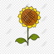 Filosofi & makna bunga matahari. Bahan Vektor Kartun Bunga Matahari Digambar Tangan Png Grafik Gambar Unduh Gratis Lovepik