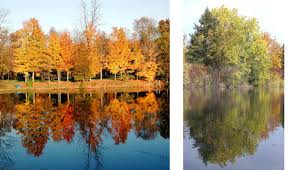 The ray of light which is sent back by the mirror from the point of incidence is called reflected ray. Visible Light And Matter Ck 12 Foundation