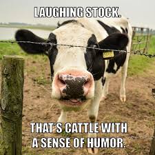 15 Great Farming Memes That Say Exactly What S On Your Mind Cows Funny Funny Animal Memes Cow Puns