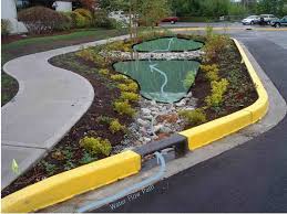 Rain Gardens Australia Rain Garden Landscape Design Landscape