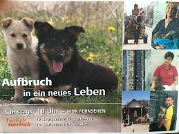 Heute mit beitrag über kaninchen. Http Www Mdr De Mediathek Fernsehen Tierhilfe Hoffnung Facebook