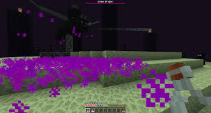 How to get dragon's breath in minecraft Lingering Potions Minecraft Wiki Fandom