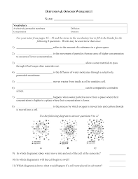 Selectively permeable means that some molecules can. Diffusion And Osmosis Worksheet Answers Promotiontablecovers
